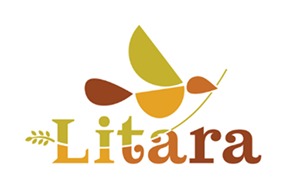 Katalis Partners Since 2015-2026